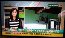 关于台湾最新爆料的新闻,最新爆料揭示两岸关系紧张新动向